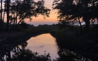 may river preserve,may river preserve homes for sale,may river preserve bluffton sc,may river real estate,may river preserve bluffton,homes for sale may river preserve bluffton sc,may river rd bluffton sc,may river road bluffton sc,may river road,may river homes for sale,homes for sale on may river bluffton sc,houses for sale on the may river bluffton sc,mays realtors,sale on may,may properties,daffodil farm way bluffton sc,river preserve homes for sale,sc daffodil farm way bluffton,sale in may river preserve,bluffton sc white lion ct,sc white lion ct bluffton,white lion ct bluffton sc,bluffton may river road,river road bluffton,What is the most expensive neighborhood in Bluffton SC?,Is it better to live in Hilton Head or Bluffton?,Where is the best place to live in Bluffton SC?,Is Bluffton a golf cart community?,homes for sale bluffton sc,houses for sale bluffton sc,bluffton homes for sale,bluffton houses for sale,bluffton sc real estate