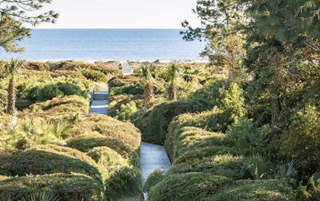 port royal real estate hilton head,port royal plantation real estate hilton head sc,port royal real estate,port royal homes for sale,port royal houses for sale,port royal homes,port royal houses,port royal condos,port royal condos for sale,port royal villas,port royal villas for sale,port royal homes for sale hilton head,port royal houses for sale hilton head,port royal homes hilton head,port royal houses hilton head,port royal condos hilton head,port royal condos for sale hilton head,port royal villas hilton head,port royal villas for sale hilton head,port royal beach,port real estate,the port royal,port royal beach house,port royal country club,port royal plantation real estate,port hilton,port royal hilton head island,port royal beach club hilton head,hilton head island port royal,port royal beach hilton head,port royal port,homes in port royal,port royal plantation hilton head real estate,port royal home,hilton head real estate,beach house hilton head,hilton head island real estate,beach properties of hilton head,hilton head sc real estate,beach house hilton head island,hilton head houses,hilton head homes,hilton head realty,homes in hilton head sc,hilton head island homes,hilton head island plantations,hilton head island houses,the beach house hilton head island,hilton head real estate agents,beach houses hilton head sc,hilton head island sc real estate,beach properties hilton head island,real estate hilton,hilton head property,the beach house hilton head sc,new homes hilton head sc,hilton head golf communities,hilton head property search,hilton head beach homes,hilton head island realty,hilton head island communities,property in hilton head sc,hilton head oceanfront real estate,hilton head oceanfront homes,hilton head plantation homes,island realty hilton head,hilton head real estate listings,hilton head golf communities real estate,oceanfront homes hilton head sc,houses in hilton head sc,beach properties hilton head sc,hilton head new homes,hilton head area real estate,hilton head beach real estate,plantations of hilton head island,hilton head island real estate agents,hilton head realty companies,golf communities in hilton head sc,real estate companies hilton head sc,hilton head island oceanfront real estate,oceanfront property hilton head island,port royal plantation homes for sale zillow,port royal hilton head,port royal hilton head condos for sale,wimbledon court hilton head island,wimbledon ct hilton head island,ct hilton head island sc,court hilton head island wimbledon,island sc wimbledon ct hilton,sea pines real estate,palmetto dunes homes for sale,zillow hilton head,living in port royal plantation hilton head,port royal plantation beach house,port royal plantation map,port royal plantation homes for sale,port royal plantation hoa,port royal plantation hoa fees,port royal plantation hilton head homes for sale,port royal plantation poa fees